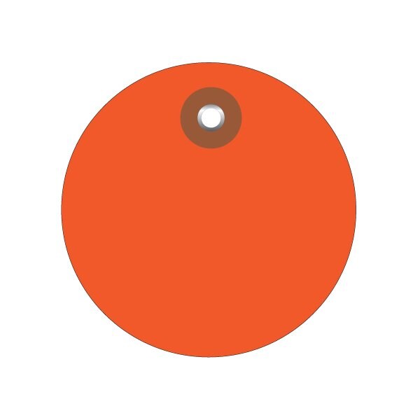Bsc Preferred 3'' Orange Plastic Circle Tags, 100PK BUY00021608 - main